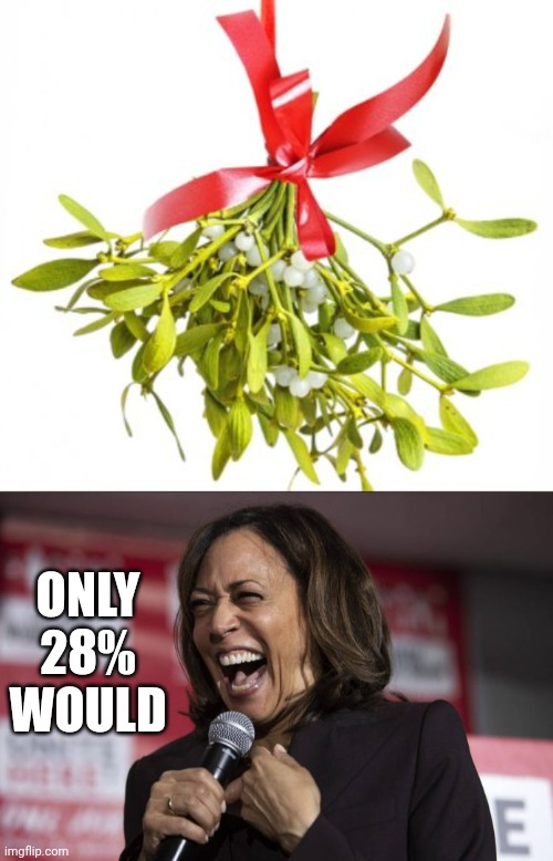 ONLY 28% WOULD | image tagged in mistletoe,kamala laughing | made w/ Imgflip meme maker