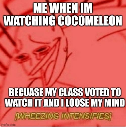 Wheeze |  ME WHEN IM WATCHING COCOMELEON; BECUASE MY CLASS VOTED TO WATCH IT AND I LOOSE MY MIND | image tagged in wheeze,cocomelon | made w/ Imgflip meme maker