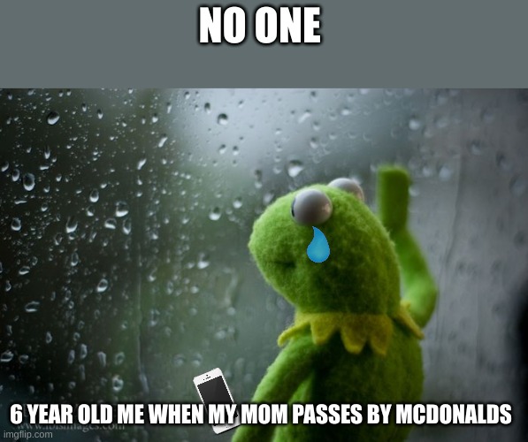 kermit window | NO ONE; 6 YEAR OLD ME WHEN MY MOM PASSES BY MCDONALDS | image tagged in kermit window | made w/ Imgflip meme maker
