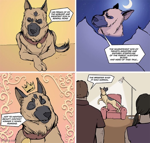 Lol | image tagged in dogs,comics | made w/ Imgflip meme maker