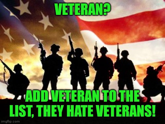 veterans day | VETERAN? ADD VETERAN TO THE LIST, THEY HATE VETERANS! | image tagged in veterans day | made w/ Imgflip meme maker