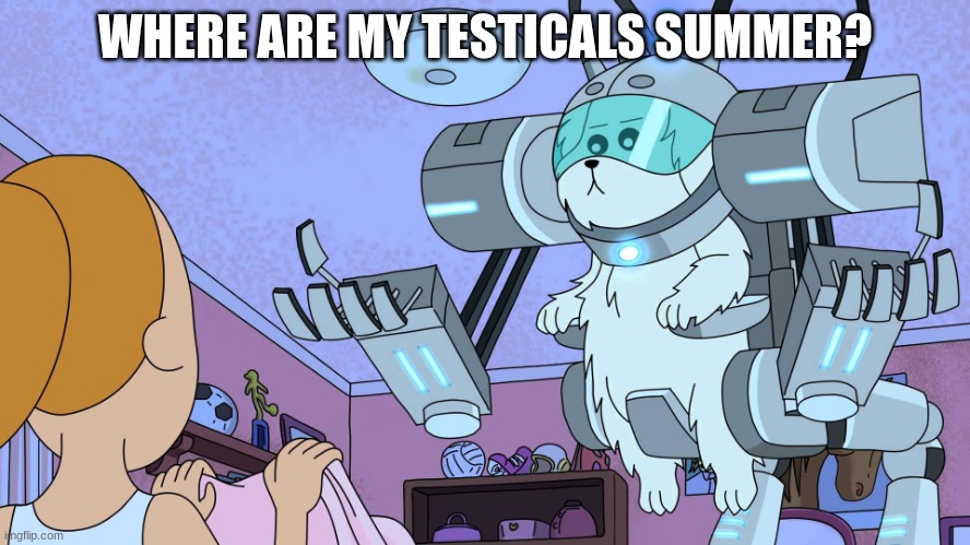 where are my testicals, summer? | WHERE ARE MY TESTICALS SUMMER? | image tagged in where are my testicals summer | made w/ Imgflip meme maker