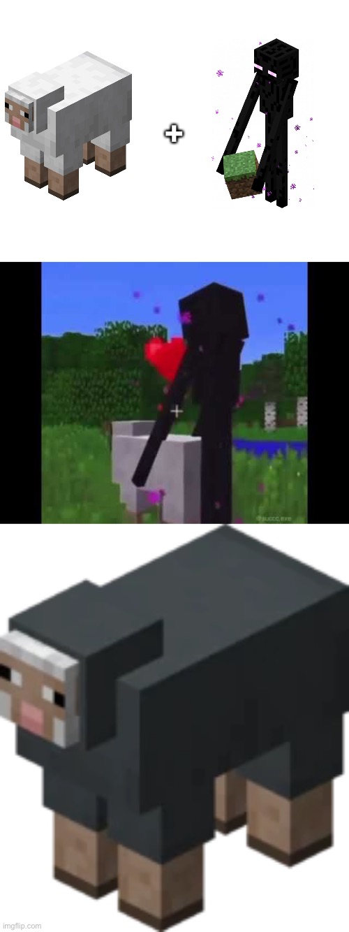 + | image tagged in blank white template | made w/ Imgflip meme maker
