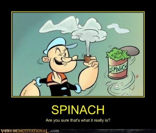 SPINACH | image tagged in spinach | made w/ Imgflip meme maker