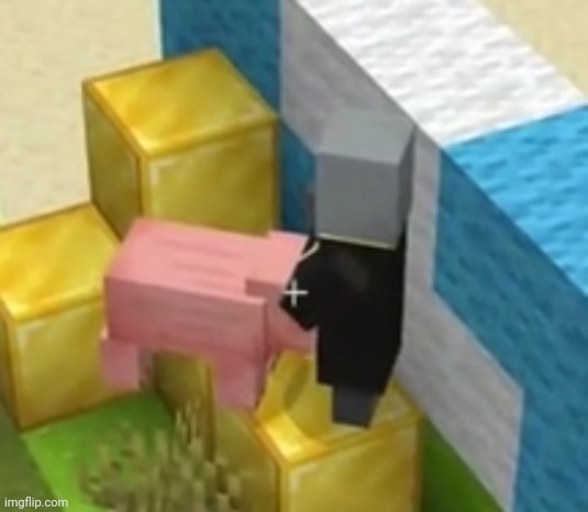 pig sucking pillager's dick | image tagged in pig giving pillager head | made w/ Imgflip meme maker