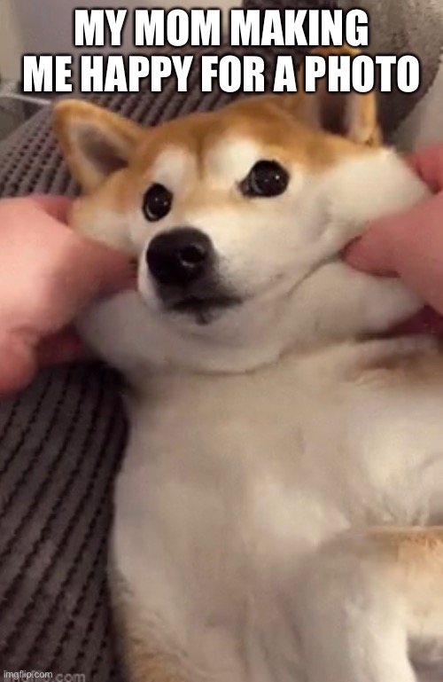 Really | MY MOM MAKING ME HAPPY FOR A PHOTO | image tagged in doge | made w/ Imgflip meme maker