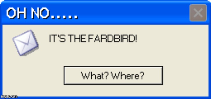 FARDBIRD | image tagged in fardbird error | made w/ Imgflip meme maker