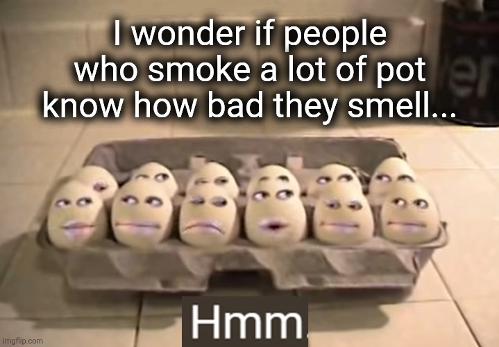 Yeah, you're not fooling anyone. You smell bad. |  I wonder if people who smoke a lot of pot know how bad they smell... | image tagged in thinking eggs,pot,you smell bad,memes,funny memes,brain damage | made w/ Imgflip meme maker