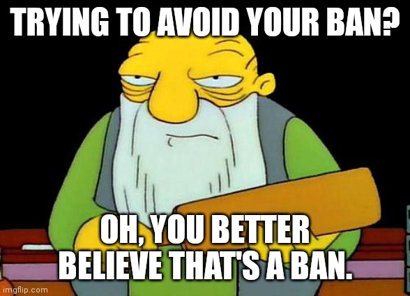 That's a paddlin' Meme | TRYING TO AVOID YOUR BAN? OH, YOU BETTER BELIEVE THAT'S A BAN. | image tagged in memes,that's a paddlin' | made w/ Imgflip meme maker