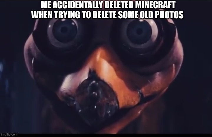 This was the worst mistake of my life | ME ACCIDENTALLY DELETED MINECRAFT WHEN TRYING TO DELETE SOME OLD PHOTOS | image tagged in ozzie ostrich | made w/ Imgflip meme maker