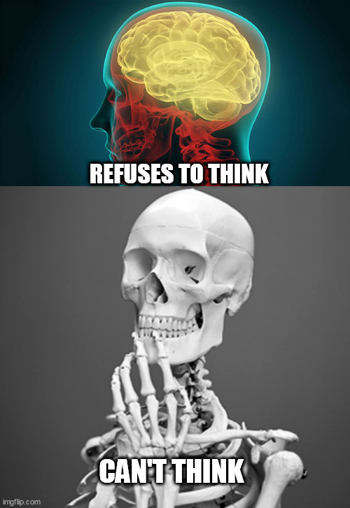 REFUSES TO THINK; CAN'T THINK | image tagged in you | made w/ Imgflip meme maker