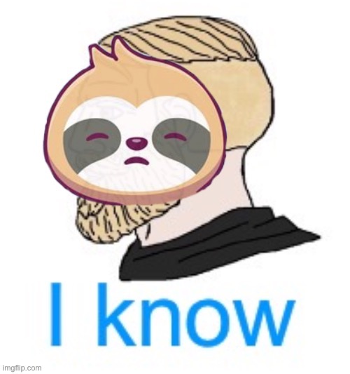 Sloth I know | image tagged in sloth i know | made w/ Imgflip meme maker