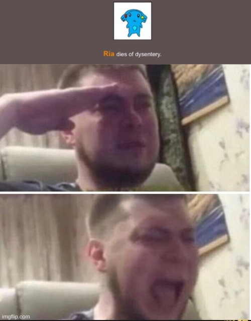 NOO | image tagged in crying salute,memes,funny,hunger games | made w/ Imgflip meme maker
