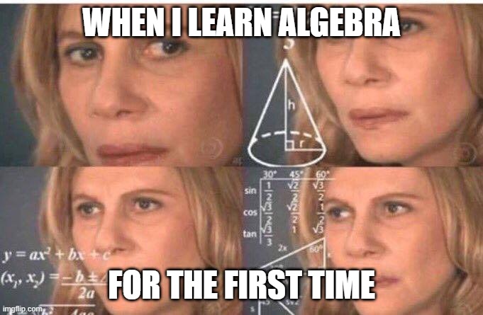 Relatable??????????? Or do you find it easy? | WHEN I LEARN ALGEBRA; FOR THE FIRST TIME | image tagged in math lady/confused lady | made w/ Imgflip meme maker