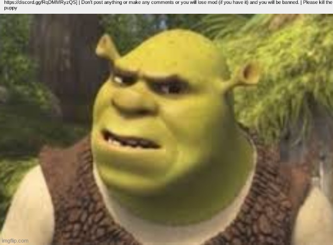 the description- | image tagged in confused shrek | made w/ Imgflip meme maker