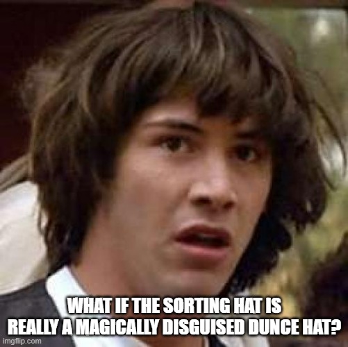 Conspiracy Keanu Meme | WHAT IF THE SORTING HAT IS REALLY A MAGICALLY DISGUISED DUNCE HAT? | image tagged in memes,conspiracy keanu | made w/ Imgflip meme maker
