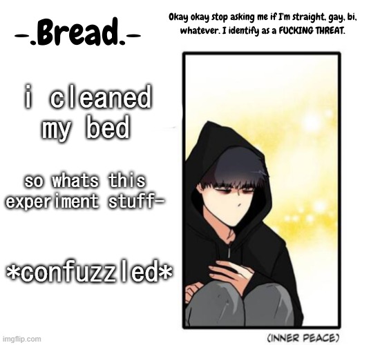 .-. | i cleaned my bed; so whats this experiment stuff-; *confuzzled* | image tagged in breads inner peace temp | made w/ Imgflip meme maker