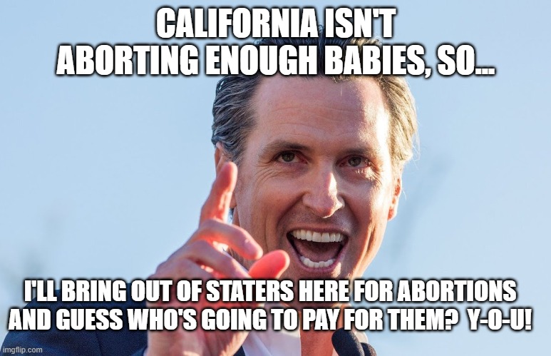 Insane Idiot Gavin Newsom |  CALIFORNIA ISN'T ABORTING ENOUGH BABIES, SO... I'LL BRING OUT OF STATERS HERE FOR ABORTIONS AND GUESS WHO'S GOING TO PAY FOR THEM?  Y-O-U! | image tagged in insane idiot gavin newsom | made w/ Imgflip meme maker