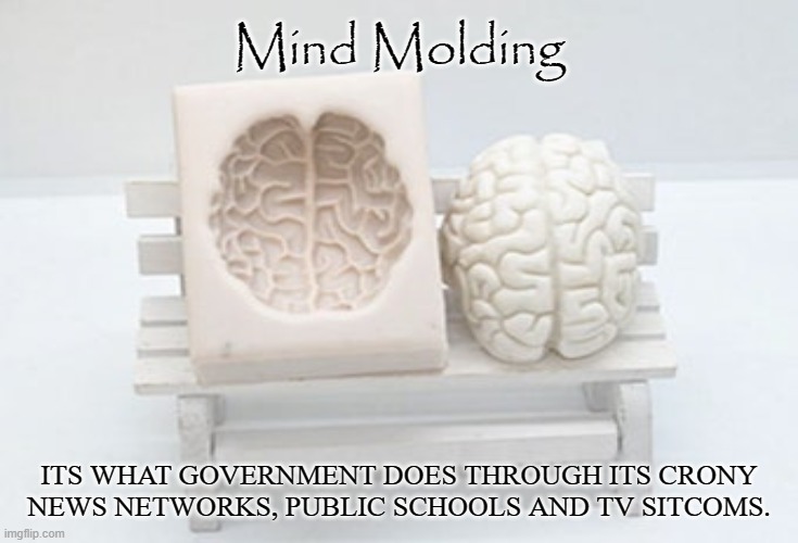 Social Engineering | Mind Molding; ITS WHAT GOVERNMENT DOES THROUGH ITS CRONY NEWS NETWORKS, PUBLIC SCHOOLS AND TV SITCOMS. | image tagged in mold,brainwashed,news,propaganda,social engineering,fear | made w/ Imgflip meme maker