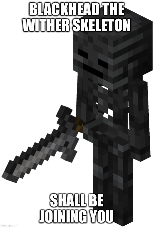  BLACKHEAD THE WITHER SKELETON; SHALL BE JOINING YOU | made w/ Imgflip meme maker
