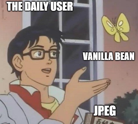 IT IS WHAT | THE DAILY USER; VANILLA BEAN; JPEG | image tagged in memes,is this a pigeon | made w/ Imgflip meme maker