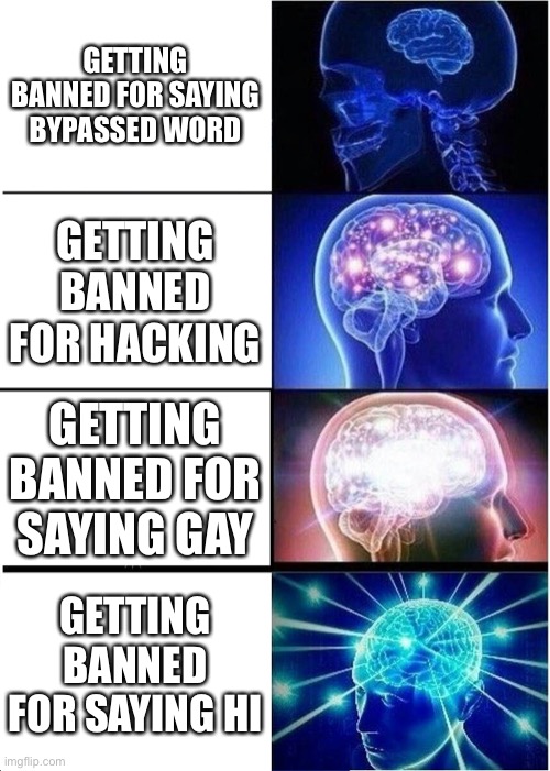 Expanding Brain | GETTING BANNED FOR SAYING BYPASSED WORD; GETTING BANNED FOR HACKING; GETTING BANNED FOR SAYING GAY; GETTING BANNED FOR SAYING HI | image tagged in memes,expanding brain | made w/ Imgflip meme maker