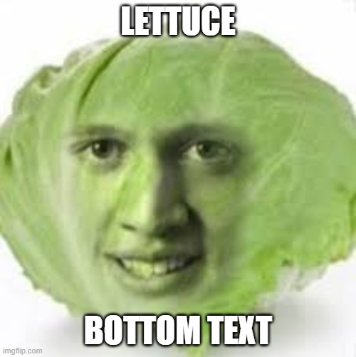 l e t t u c e |  LETTUCE; BOTTOM TEXT | image tagged in memes,meme,lettuce | made w/ Imgflip meme maker
