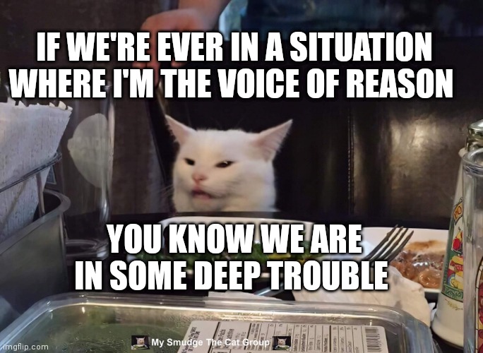 IF WE'RE EVER IN A SITUATION WHERE I'M THE VOICE OF REASON; YOU KNOW WE ARE IN SOME DEEP TROUBLE | image tagged in smudge the cat | made w/ Imgflip meme maker