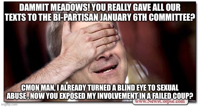 Jim Jordan Blind | DAMMIT MEADOWS! YOU REALLY GAVE ALL OUR TEXTS TO THE BI-PARTISAN JANUARY 6TH COMMITTEE? CMON MAN, I ALREADY TURNED A BLIND EYE TO SEXUAL ABUSE , NOW YOU EXPOSED MY INVOLVEMENT IN A FAILED COUP? | image tagged in jim jordan blind | made w/ Imgflip meme maker