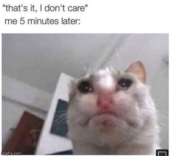 image tagged in memes,crying cat,i dont care | made w/ Imgflip meme maker