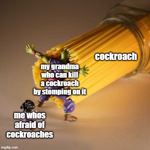 Piccolo Protect | cockroach; my grandma who can kill a cockroach by stomping on it; me whos afraid of cockroaches | image tagged in piccolo protect | made w/ Imgflip meme maker