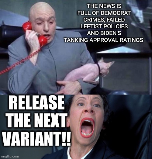 The name is E-vil | THE NEWS IS FULL OF DEMOCRAT CRIMES, FAILED LEFTIST POLICIES AND BIDEN'S TANKING APPROVAL RATINGS; RELEASE THE NEXT VARIANT!! | image tagged in dr evil and frau,libtards,suck,moose | made w/ Imgflip meme maker