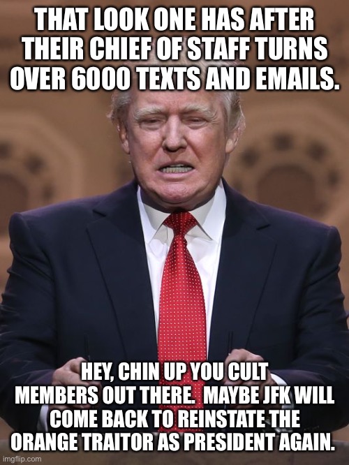 Donald Trump | THAT LOOK ONE HAS AFTER THEIR CHIEF OF STAFF TURNS OVER 6000 TEXTS AND EMAILS. HEY, CHIN UP YOU CULT MEMBERS OUT THERE.  MAYBE JFK WILL COME BACK TO REINSTATE THE ORANGE TRAITOR AS PRESIDENT AGAIN. | image tagged in donald trump | made w/ Imgflip meme maker