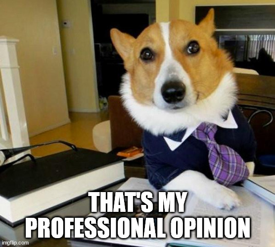 Lawyer Corgi Dog | THAT'S MY PROFESSIONAL OPINION | image tagged in lawyer corgi dog | made w/ Imgflip meme maker