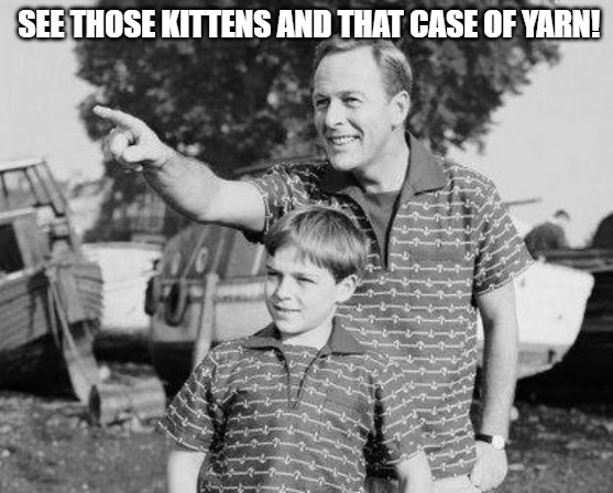 CHECK IT OUT | SEE THOSE KITTENS AND THAT CASE OF YARN! | image tagged in look son | made w/ Imgflip meme maker