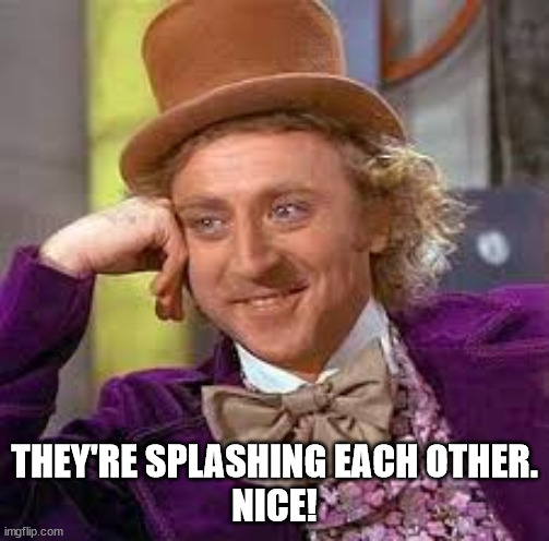 Gene Wilder | THEY'RE SPLASHING EACH OTHER.
NICE! | image tagged in gene wilder | made w/ Imgflip meme maker