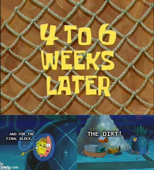 THE DIRT! AND FOR THE FINAL BLOCK... | image tagged in 4 to 6 weeks later,spongebob diapers meme | made w/ Imgflip meme maker