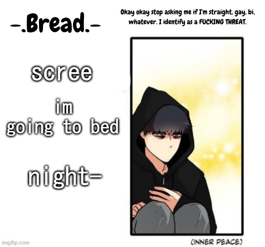 more like watch yt till i pass out in 15 minutes but still | scree; im going to bed; night- | image tagged in breads inner peace temp | made w/ Imgflip meme maker