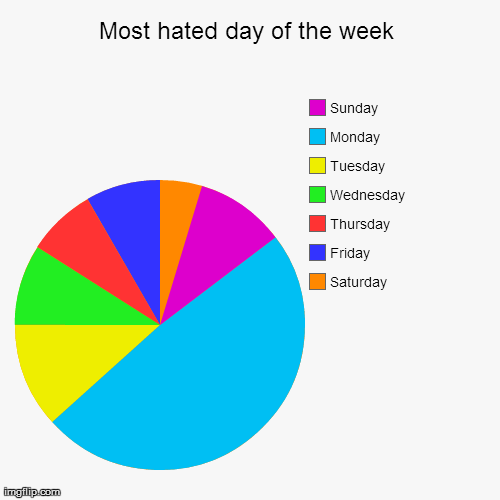 we hate mondays | image tagged in funny,pie charts | made w/ Imgflip chart maker