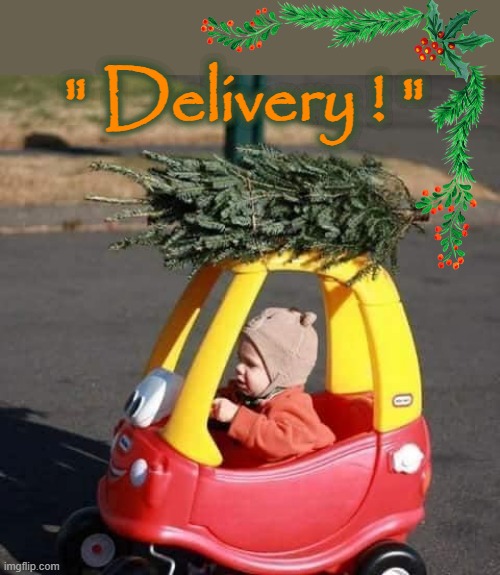 Delivery ! | " Delivery ! " | image tagged in christmas tree | made w/ Imgflip meme maker