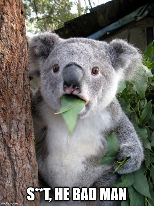 Surprised Koala Meme | S**T, HE BAD MAN | image tagged in memes,surprised koala | made w/ Imgflip meme maker