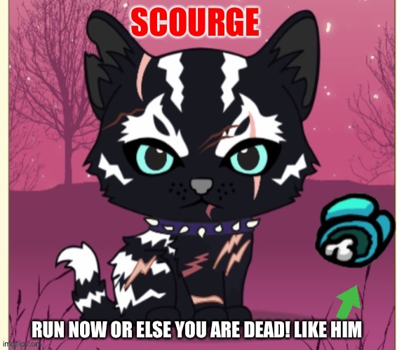 Scourge is imposter | image tagged in cat | made w/ Imgflip meme maker