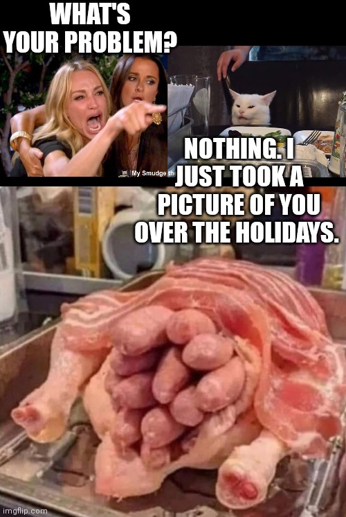 WHAT'S YOUR PROBLEM? NOTHING. I JUST TOOK A PICTURE OF YOU OVER THE HOLIDAYS. | image tagged in smudge the cat | made w/ Imgflip meme maker