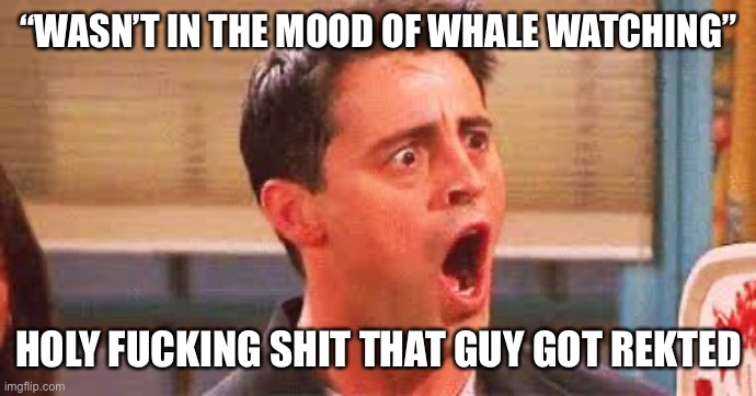 “WASN’T IN THE MOOD OF WHALE WATCHING” HOLY FUCKING SHIT THAT GUY GOT REKTED | image tagged in joey surprised | made w/ Imgflip meme maker