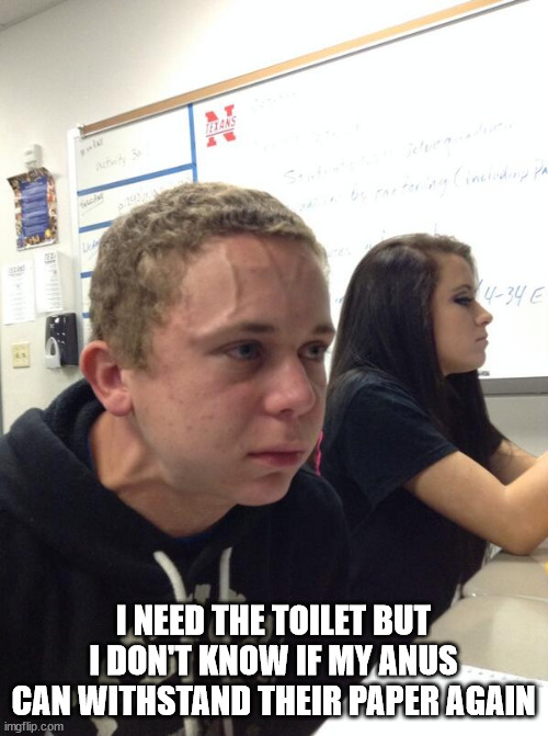 Hold fart | I NEED THE TOILET BUT I DON'T KNOW IF MY ANUS CAN WITHSTAND THEIR PAPER AGAIN | image tagged in hold fart | made w/ Imgflip meme maker