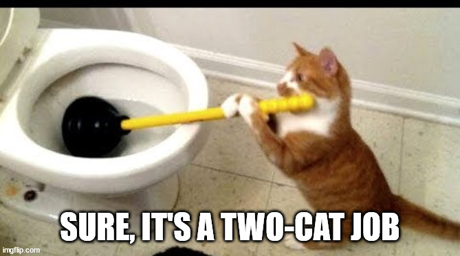cat using a toilet plunger | SURE, IT'S A TWO-CAT JOB | image tagged in cat using a toilet plunger | made w/ Imgflip meme maker