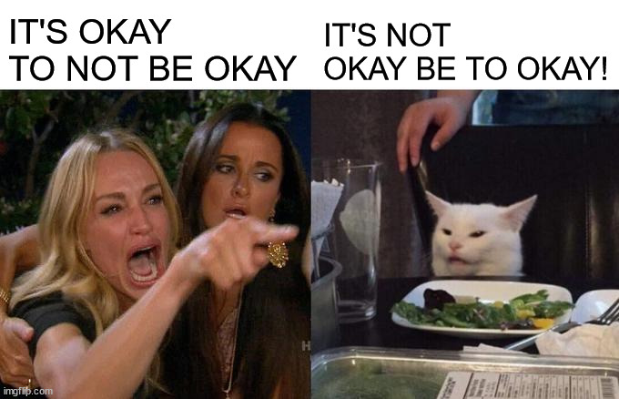 Woman Yelling At Cat Meme | IT'S OKAY TO NOT BE OKAY IT'S NOT OKAY BE TO OKAY! | image tagged in memes,woman yelling at cat | made w/ Imgflip meme maker