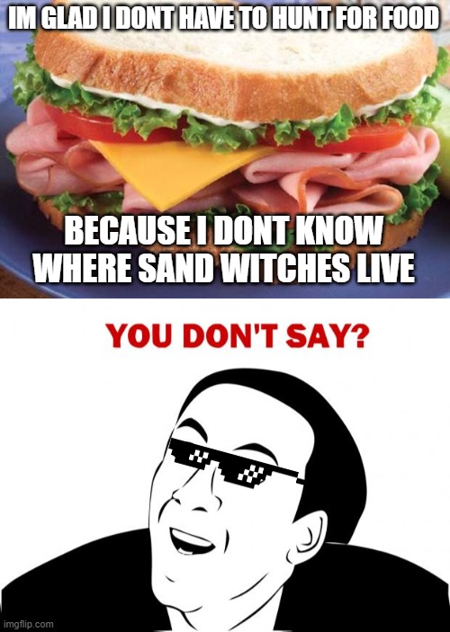 sandwitch | IM GLAD I DONT HAVE TO HUNT FOR FOOD; BECAUSE I DONT KNOW WHERE SAND WITCHES LIVE | image tagged in sandwich,memes,you don't say,food,meme,gif | made w/ Imgflip meme maker