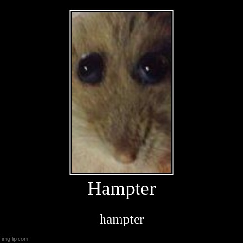 hampter | image tagged in funny,demotivationals | made w/ Imgflip demotivational maker