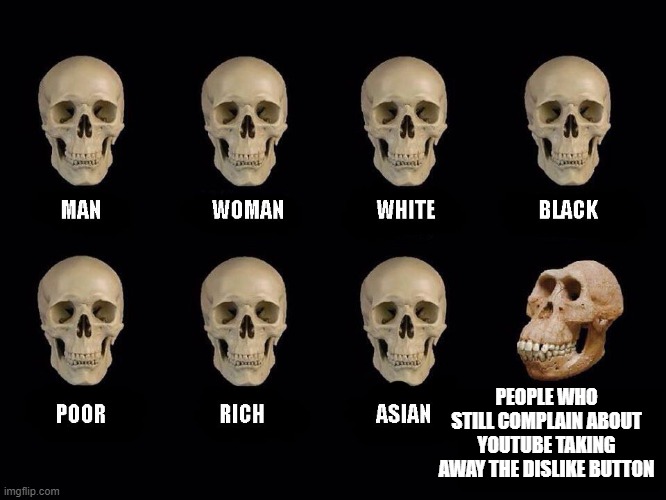 hi | PEOPLE WHO STILL COMPLAIN ABOUT YOUTUBE TAKING AWAY THE DISLIKE BUTTON | image tagged in empty skulls of truth | made w/ Imgflip meme maker